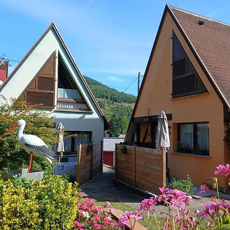 Gite Pinot Gris Et Gite Pinot Blanc Kaysersberg-Vignoble Eksteriør billede